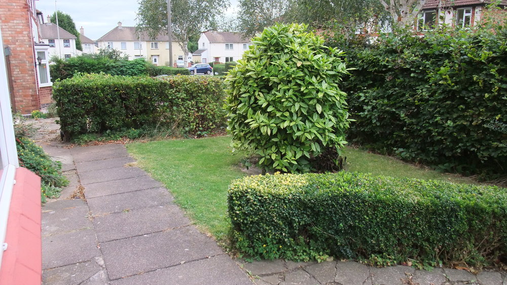 dscf7756.jpg